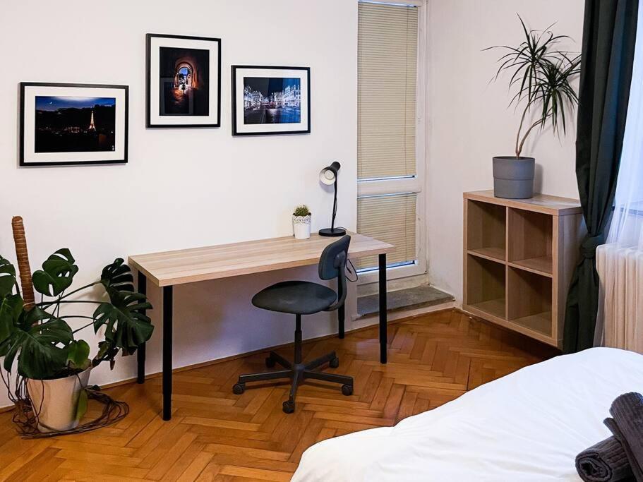 Rodinny Byt Pro 4 Na Brno-Stred Esterno foto